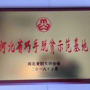 荣获【河北省巧手脱贫示范基地】